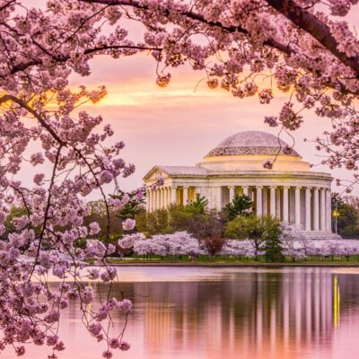 Guest Image - Washington DC’s Wonders – Destination Special, Bonus Episode