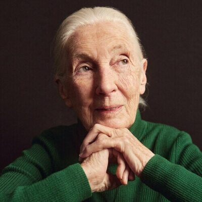 Guest Image - Dr Jane Goodall – From the archives, in her memory