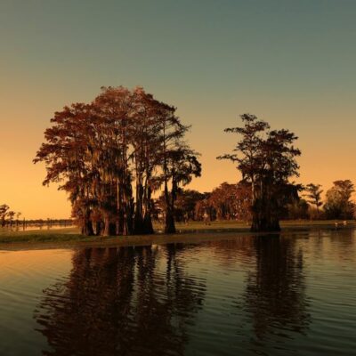 Guest Image - Louisiana: Small Towns, Swamps & Southern Soul – Destination Special